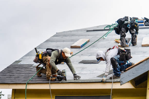 Professional Roofing technician working in Fishers, NY